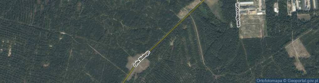 Zdjęcie satelitarne Orła Białego ul.